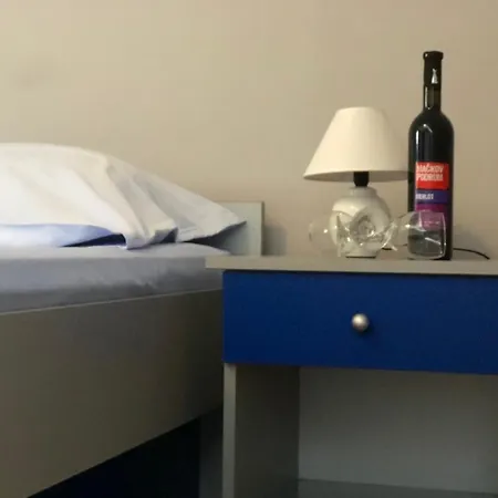 ゲストハウス Aleksandra *