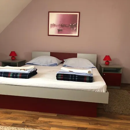 ゲストハウス Aleksandra バイナ・バシュタ