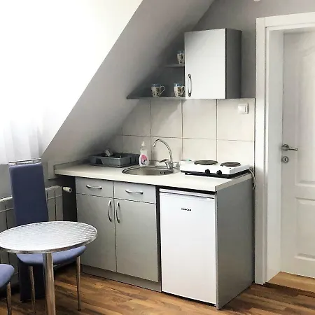 ゲストハウス Aleksandra バイナ・バシュタ